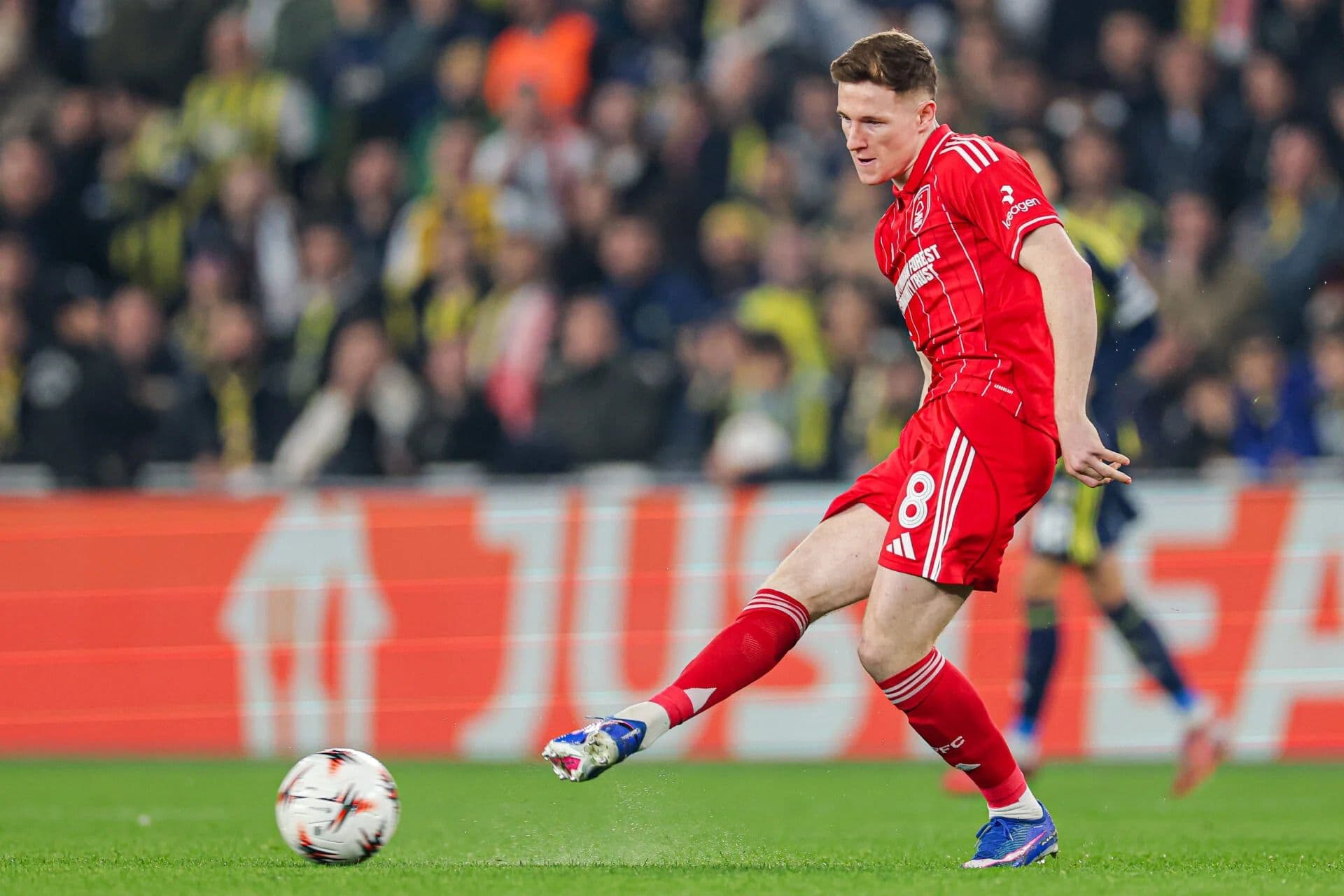 Elliot Anderson (23)