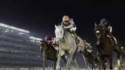 Dubai World Cup başlıyor! 30,5 milyon dolarlık dev yarış