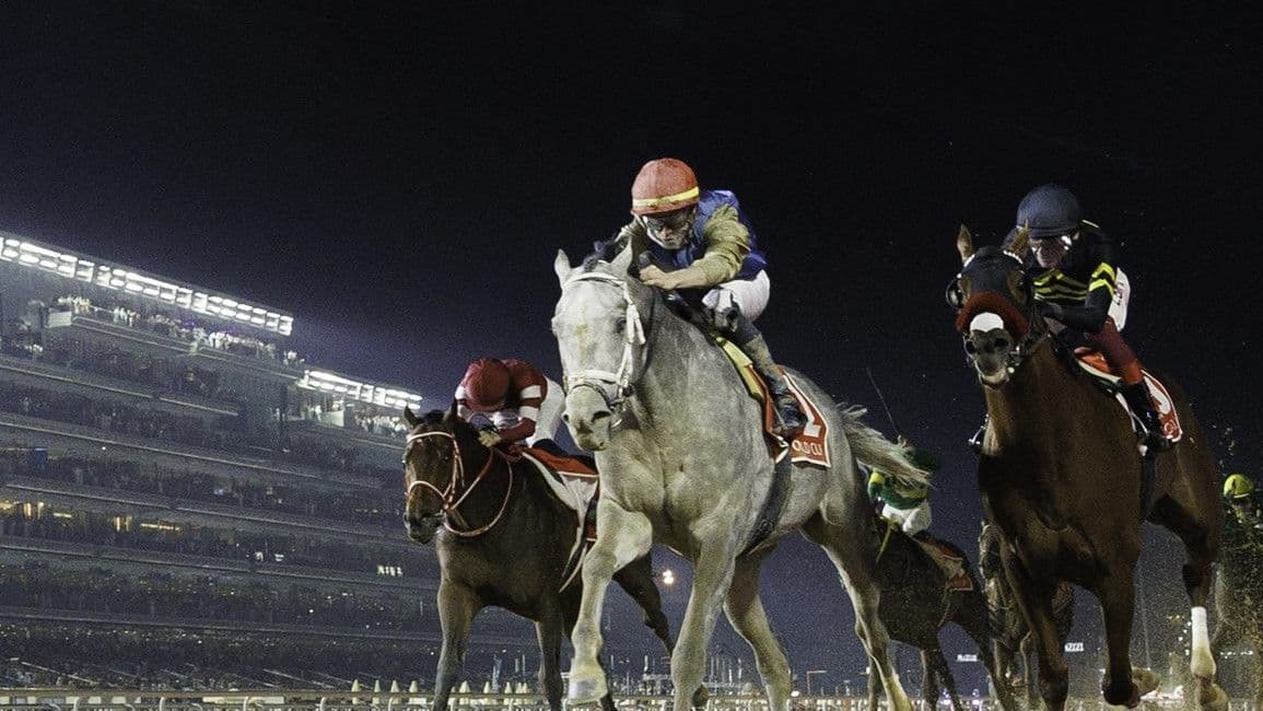 Dubai World Cup başlıyor! 30,5 milyon dolarlık dev yarış