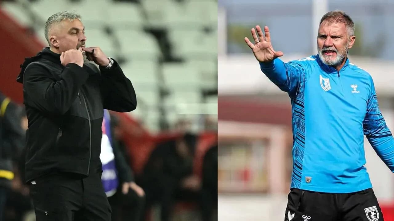 Thomas Reis - Thorsten Fink