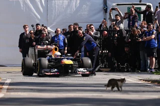 Formula 1