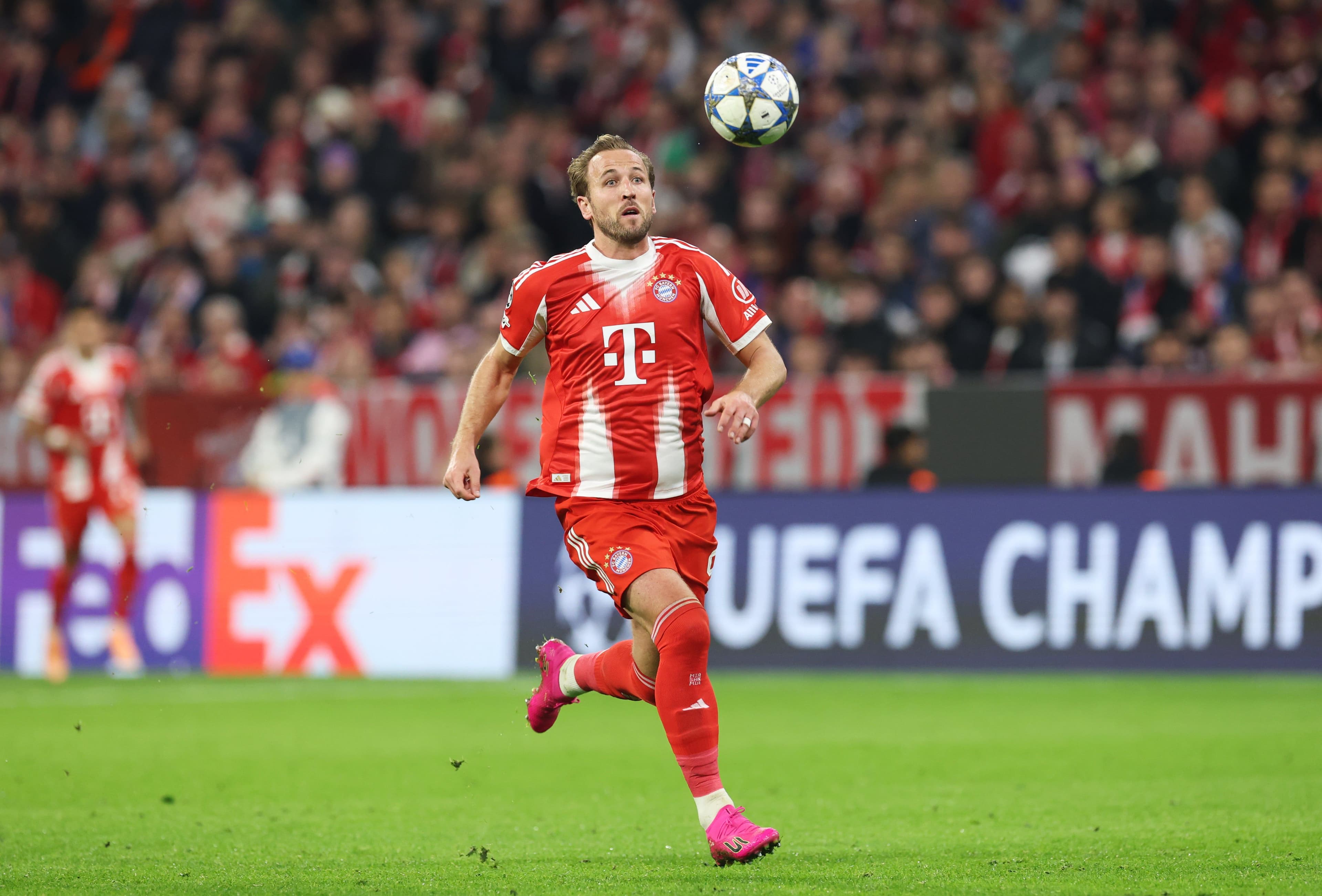 Harry Kane