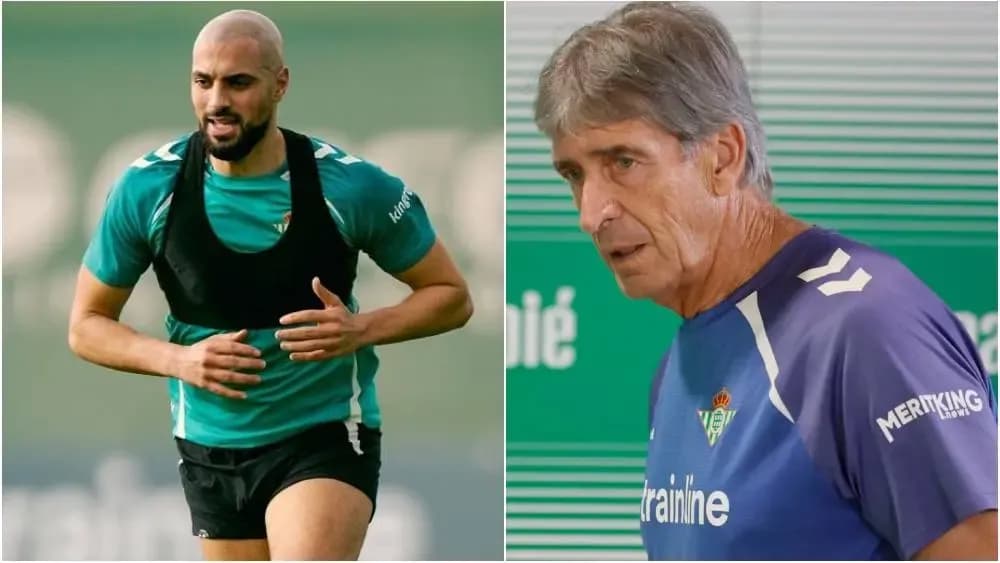 Sofyan Amrabat - Pellegrini
