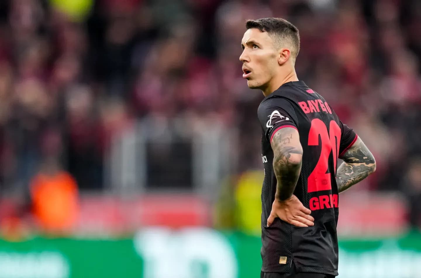 Alejandro Grimaldo