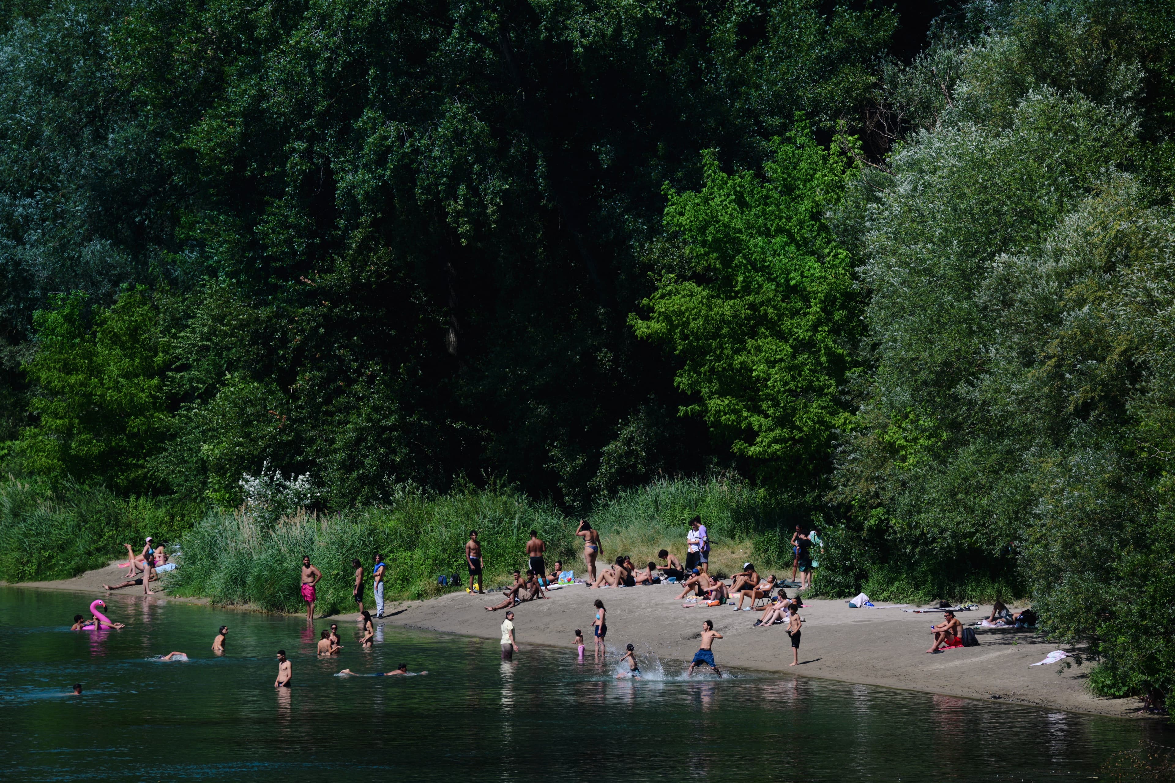 Rhone Nehri