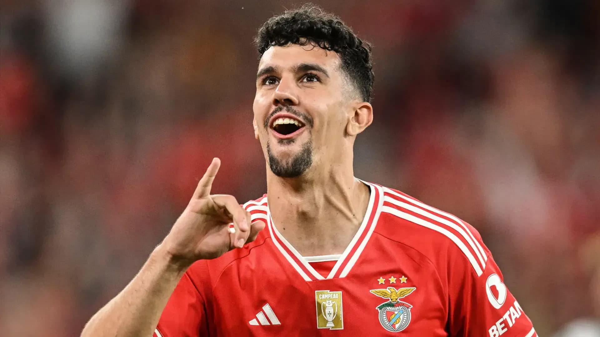 Tomás Araújo