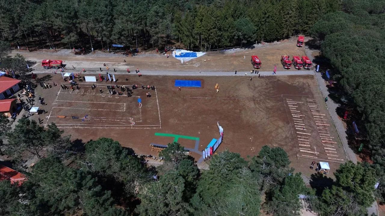 Araklı - Turup
