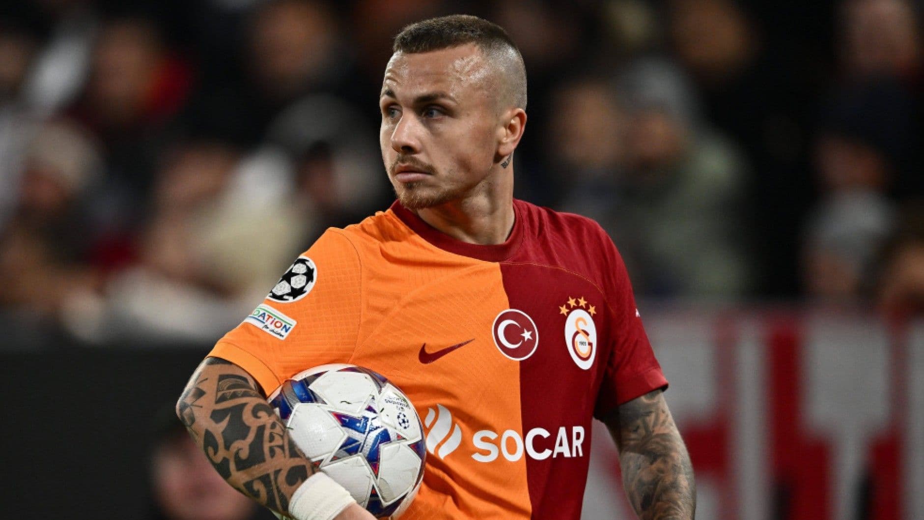 Angelino evine dönüyor!