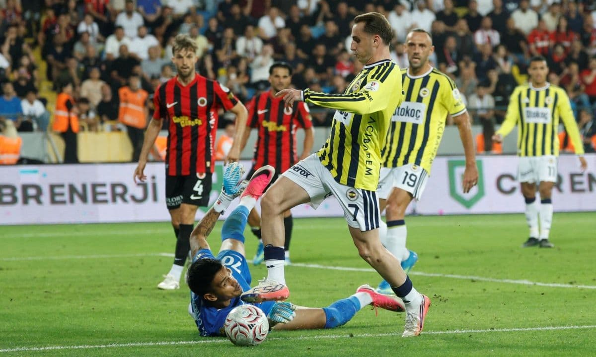 İrfan Can Eğribayat