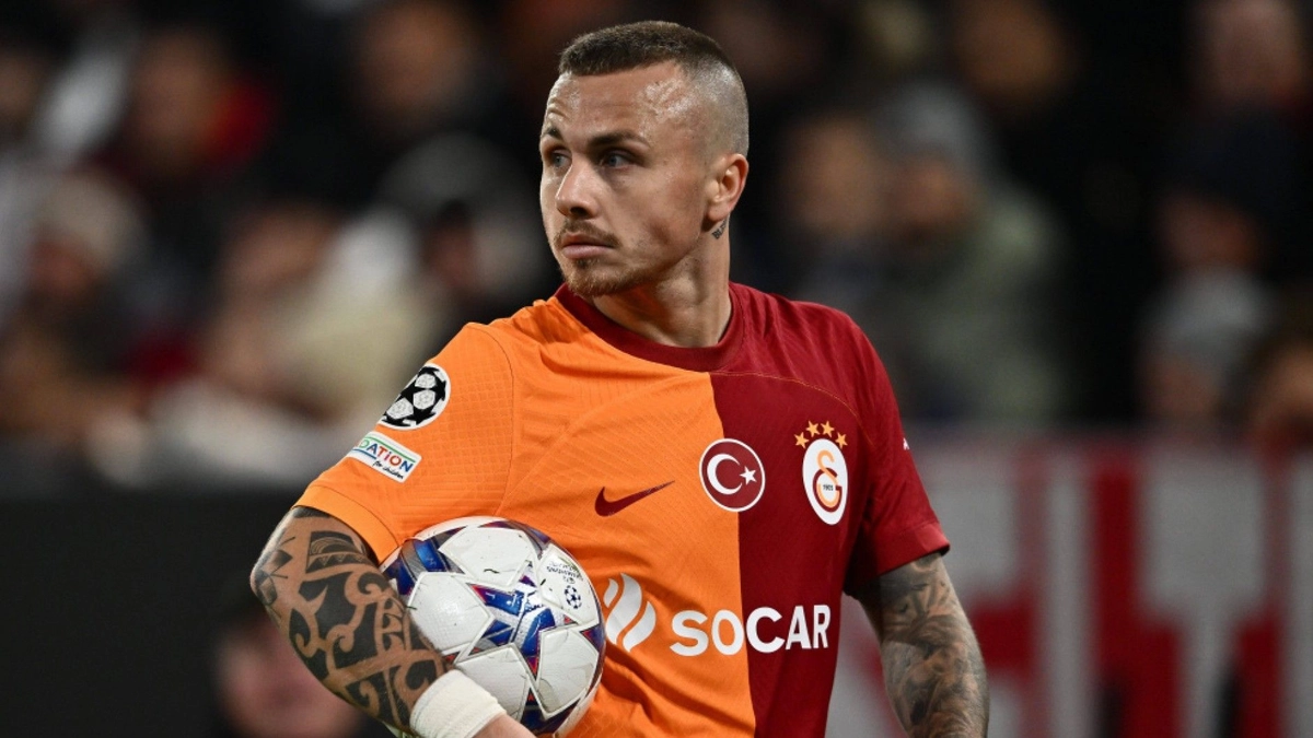 Angelino evine dönüyor!