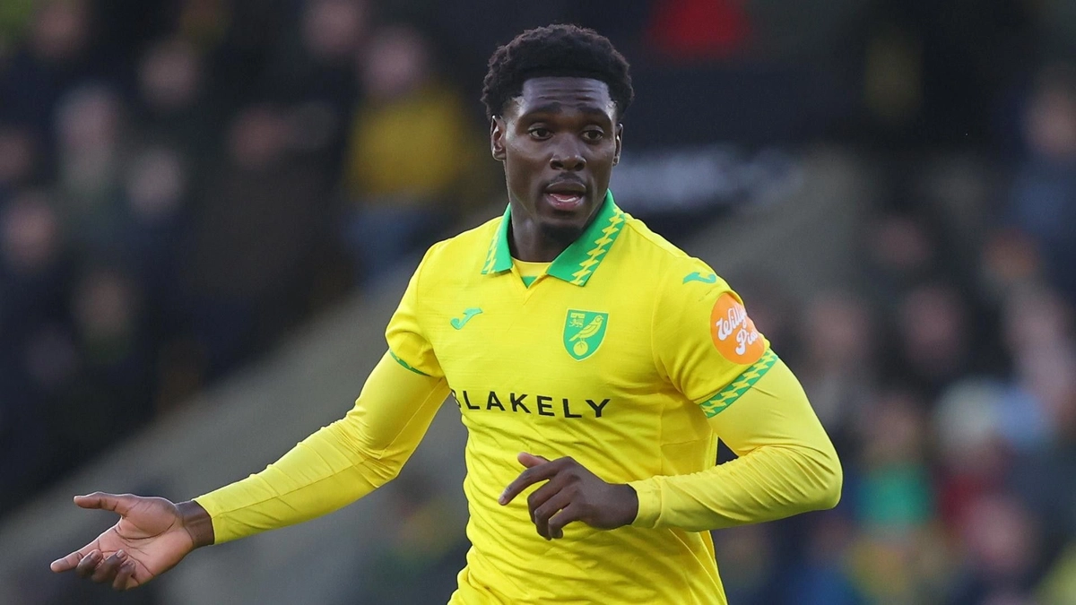 Mohamed Toure
